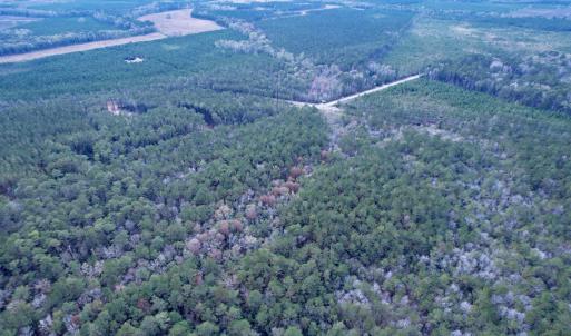 Photo #13 of Tract B - TBD Pennyroyal Rd., Georgetown, SC 5.5 acres