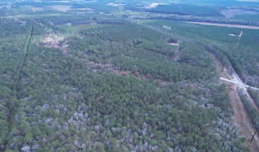 Photo #14 of Tract B - TBD Pennyroyal Rd., Georgetown, SC 5.5 acres