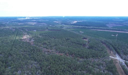Photo #15 of Tract B - TBD Pennyroyal Rd., Georgetown, SC 5.5 acres