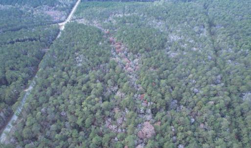 Photo #11 of Tract B - TBD Pennyroyal Rd., Georgetown, SC 5.5 acres