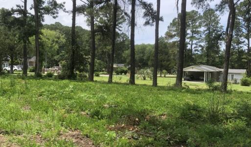 Photo #8 of TBD Horseshoe Circle, Conway, SC 0.6 acres