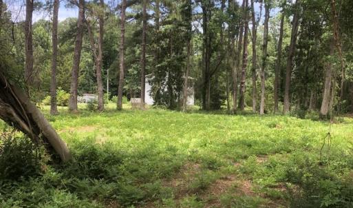 Photo #4 of TBD Horseshoe Circle, Conway, SC 0.6 acres