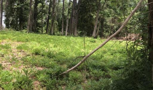 Photo #5 of TBD Horseshoe Circle, Conway, SC 0.6 acres