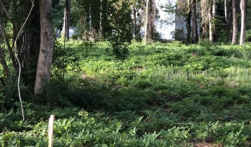 Photo #1 of TBD Horseshoe Circle, Conway, SC 0.6 acres