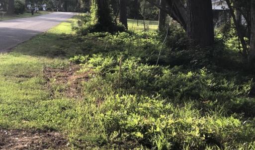 Photo #2 of TBD Horseshoe Circle, Conway, SC 0.6 acres