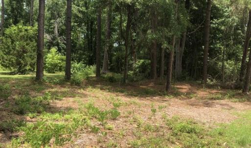 Photo #9 of TBD Horseshoe Circle, Conway, SC 0.6 acres