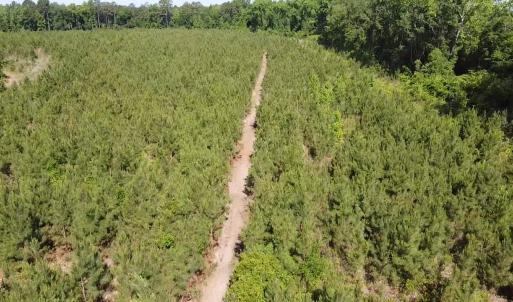 Photo #4 of Lot 4 Attadale Rd, Blenheim, SC 12.7 acres