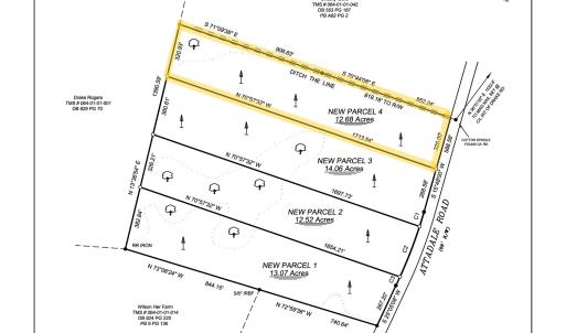 Photo #6 of Lot 4 Attadale Rd, Blenheim, SC 12.7 acres