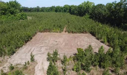 Photo #3 of Lot 4 Attadale Rd, Blenheim, SC 12.7 acres