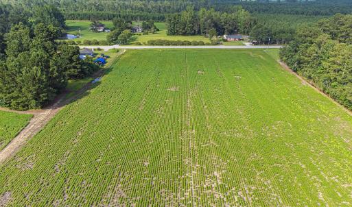 Photo #16 of TBD Highway 9 W, Nichols, SC 37.2 acres