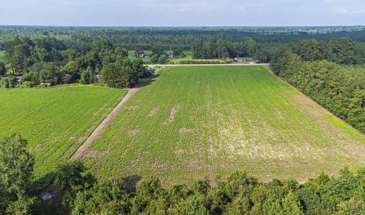 Photo #15 of TBD Highway 9 W, Nichols, SC 37.2 acres