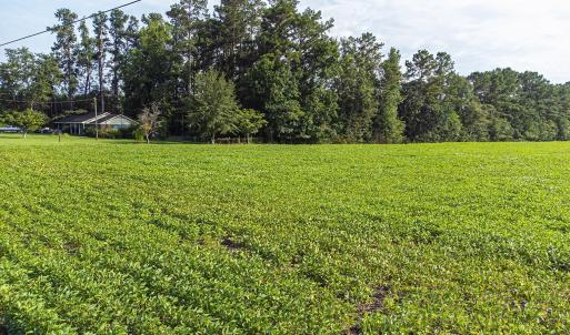 Photo #21 of TBD Highway 9 W, Nichols, SC 37.2 acres