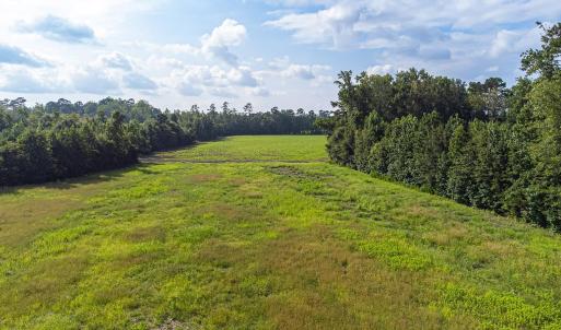 Photo #14 of TBD Highway 9 W, Nichols, SC 37.2 acres
