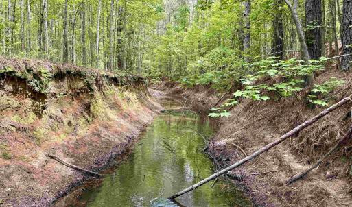 Photo #19 of 18 Acres - TBD Driffin Ln, Salters, SC 18.0 acres