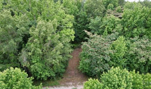 Photo #8 of 18 Acres - TBD Driffin Ln, Salters, SC 18.0 acres