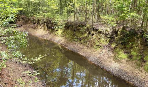 Photo #20 of 18 Acres - TBD Driffin Ln, Salters, SC 18.0 acres