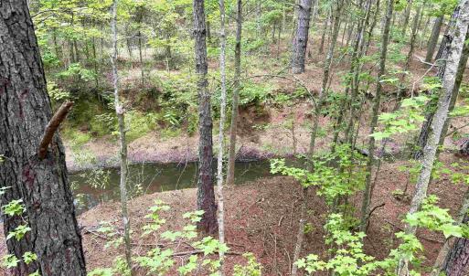 Photo #21 of 18 Acres - TBD Driffin Ln, Salters, SC 18.0 acres