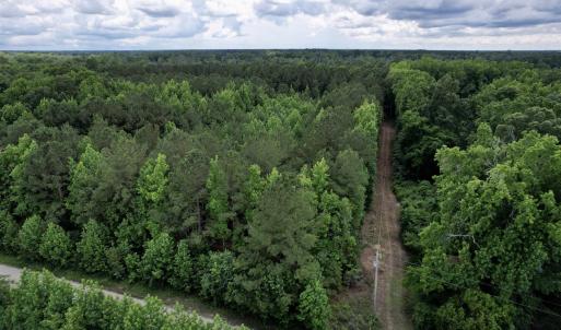 Photo #7 of 18 Acres - TBD Driffin Ln, Salters, SC 18.0 acres