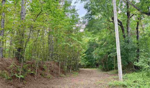 Photo #2 of 18 Acres - TBD Driffin Ln, Salters, SC 18.0 acres