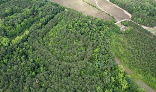 Photo #4 of 18 Acres - TBD Driffin Ln, Salters, SC 18.0 acres
