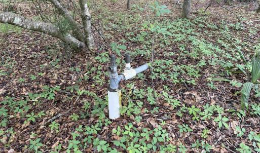 Photo #23 of 18 Acres - TBD Driffin Ln, Salters, SC 18.0 acres