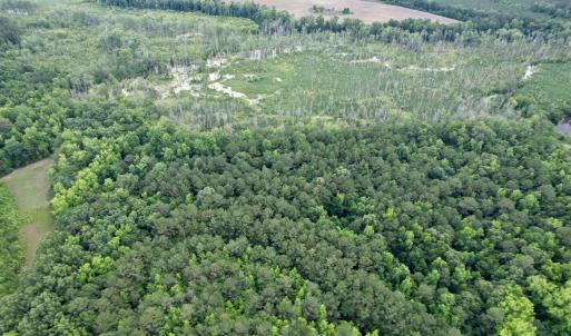 Photo #5 of 18 Acres - TBD Driffin Ln, Salters, SC 18.0 acres