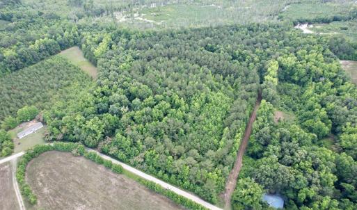 Photo #6 of 18 Acres - TBD Driffin Ln, Salters, SC 18.0 acres
