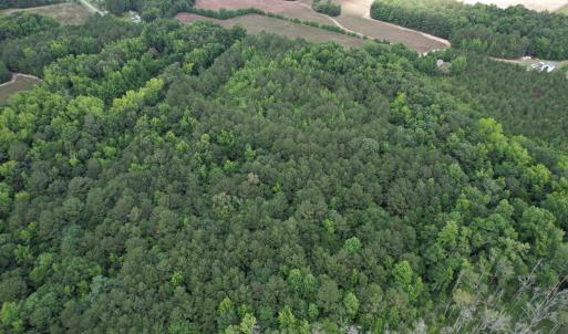 Photo #10 of 18 Acres - TBD Driffin Ln, Salters, SC 18.0 acres