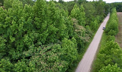Photo #13 of 18 Acres - TBD Driffin Ln, Salters, SC 18.0 acres