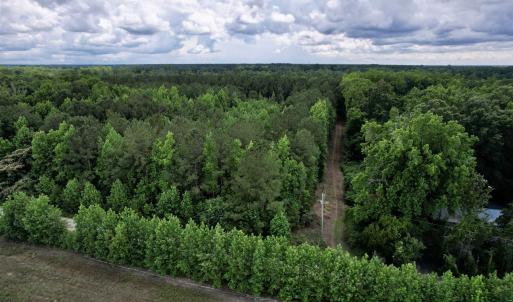 Photo #3 of 18 Acres - TBD Driffin Ln, Salters, SC 18.0 acres