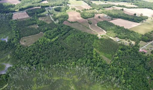 Photo #11 of 18 Acres - TBD Driffin Ln, Salters, SC 18.0 acres