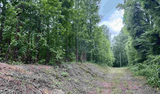 Photo #1 of 18 Acres - TBD Driffin Ln, Salters, SC 18.0 acres