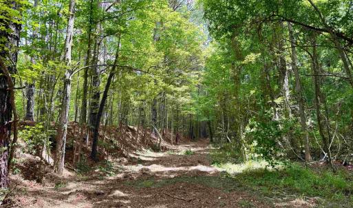 Photo #22 of 18 Acres - TBD Driffin Ln, Salters, SC 18.0 acres