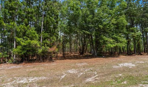 Photo #35 of 3600 Water Tower Rd., Longs, SC 4.7 acres