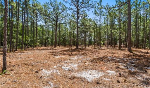 Photo #17 of 3600 Water Tower Rd., Longs, SC 4.7 acres