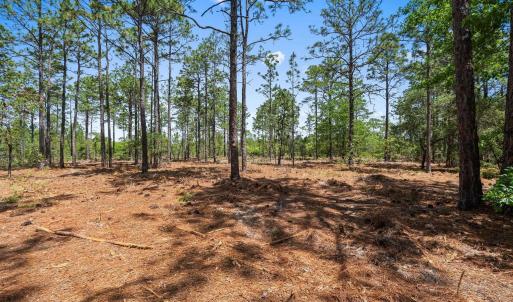 Photo #15 of 3600 Water Tower Rd., Longs, SC 4.7 acres