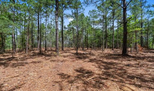 Photo #10 of 3600 Water Tower Rd., Longs, SC 4.7 acres