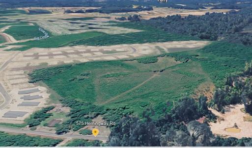 Photo #8 of 575 Hemingway Rd., Loris, SC 18.3 acres