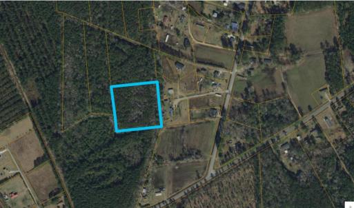 Photo #5 of TBD500 Cedar Branch Rd., Loris, SC 5.0 acres