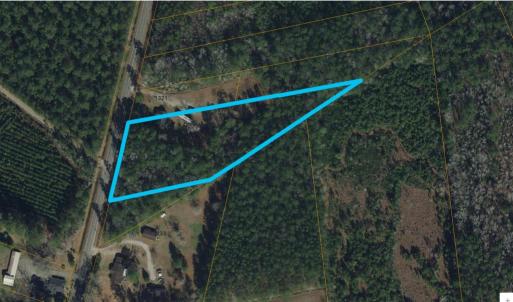 Photo #4 of TBD111 Cedar Branch Rd., Loris, SC 3.0 acres