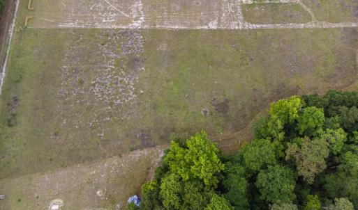 Photo #14 of TBD Gurley Rd., Loris, SC 5.4 acres