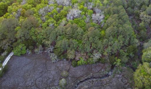 Photo #9 of 3799 Highway 17, McClellanville, SC 14.5 acres