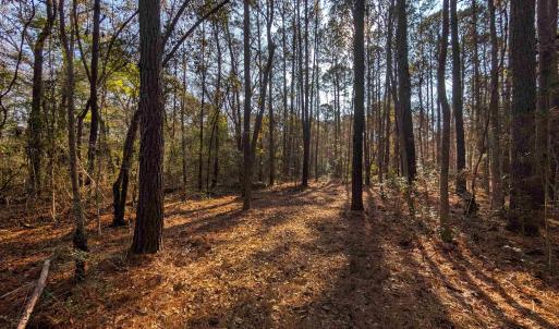 Photo #3 of 3799 Highway 17, McClellanville, SC 14.5 acres