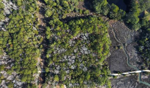 Photo #12 of 3799 Highway 17, McClellanville, SC 14.5 acres
