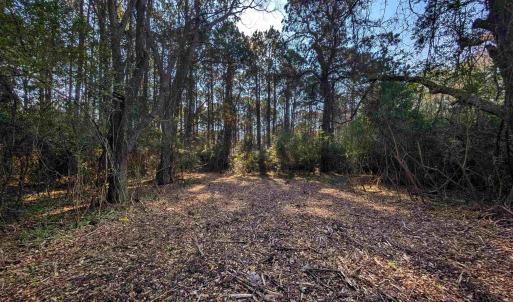 Photo #4 of 3799 Highway 17, McClellanville, SC 14.5 acres