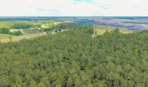 Photo #23 of 6222 Saints Delight Rd., Georgetown, SC 3.3 acres