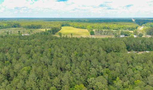 Photo #22 of 6222 Saints Delight Rd., Georgetown, SC 3.3 acres