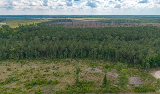Photo #14 of 6222 Saints Delight Rd., Georgetown, SC 3.3 acres