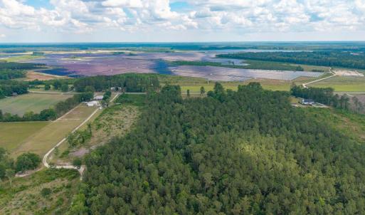 Photo #17 of 6222 Saints Delight Rd., Georgetown, SC 3.3 acres