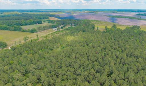 Photo #18 of 6222 Saints Delight Rd., Georgetown, SC 3.3 acres